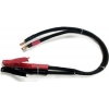 Cable with Ring-Lugs & Clamps